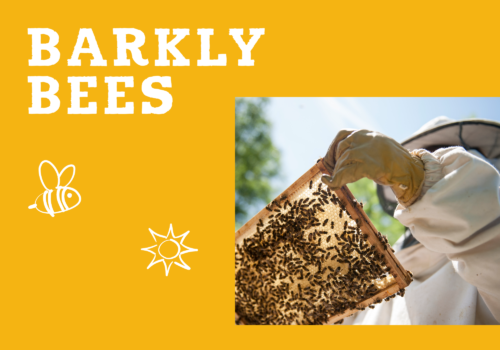 Barkly Bees